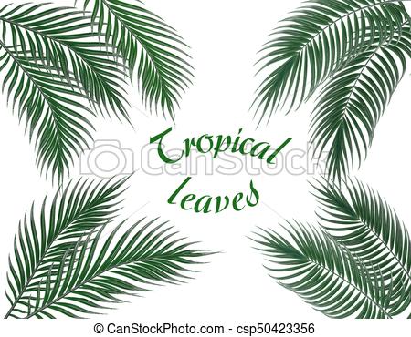 450x370 Tropical Dark Green Palm Leaves On Four Sides. Set . Clipart