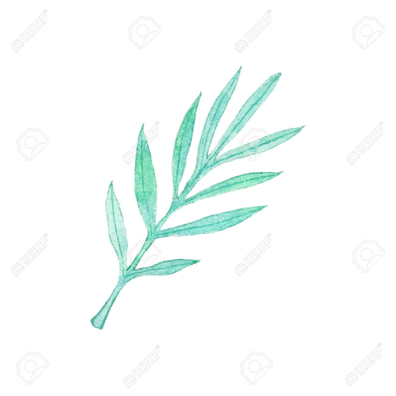 1300x1300 Palm Branch. Hand Drawn Leaves. Real Watercolor Drawing. Vector
