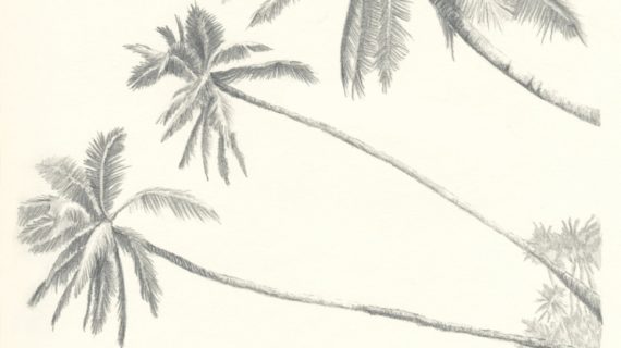 570x320 Pencil Drawings Of Beaches Hawaii Paradise Three Palm Tree Beach