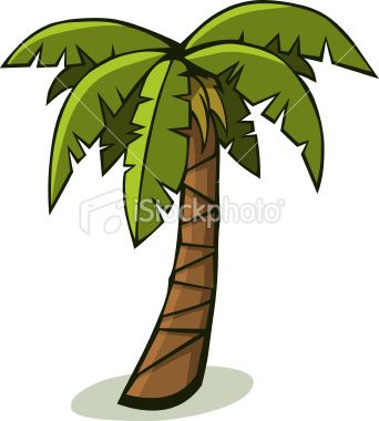 342x380 A Solitary Tropical Palm Tree. Vector Art, Art Illustrations