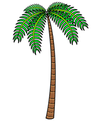 214x250 Cartoon Tree Drawing Lesson