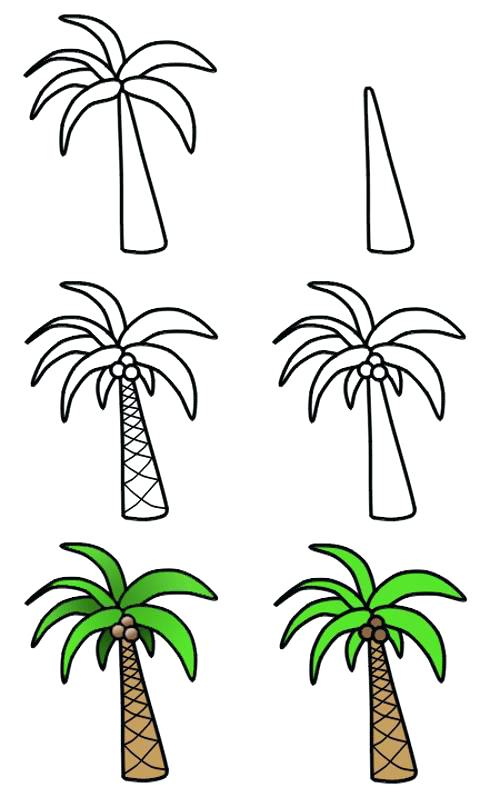 Palm Tree Drawing at GetDrawings | Free download