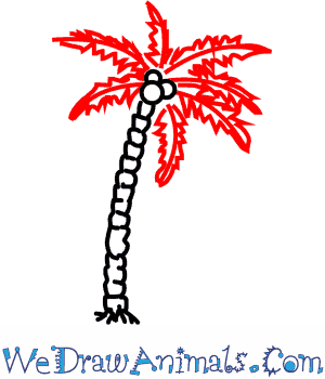 300x350 How To Draw A Coconut Palm Tree