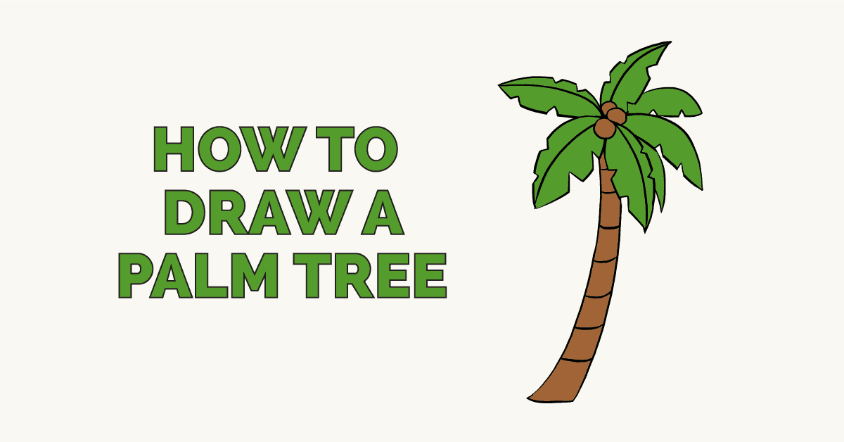 1200x628 How To Draw A Palm Tree