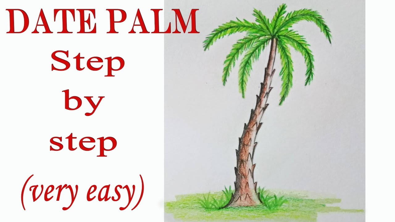 1280x720 How To Draw A Date Palm Step By Step (Very Easy)