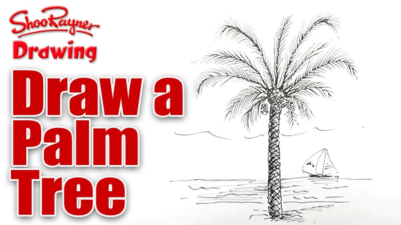 1280x720 Palm Tree Easy Drawing