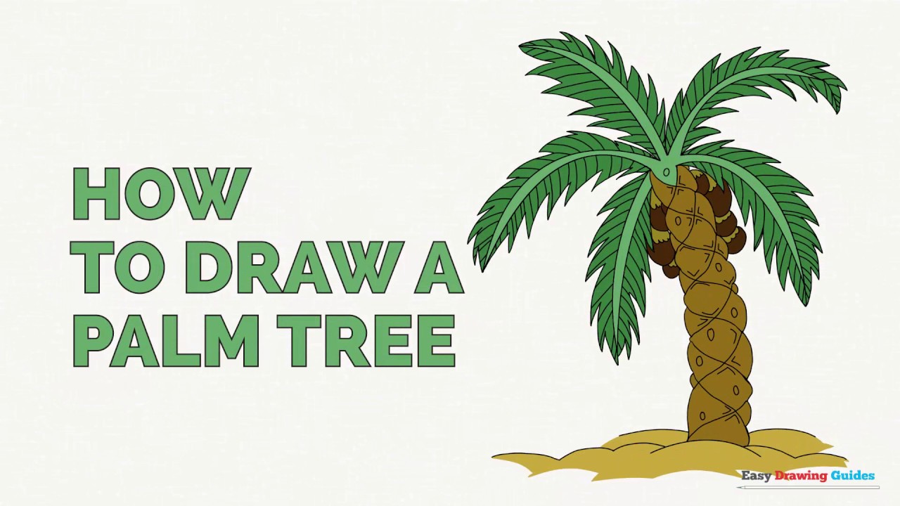 1280x720 How To Draw A Palm Tree