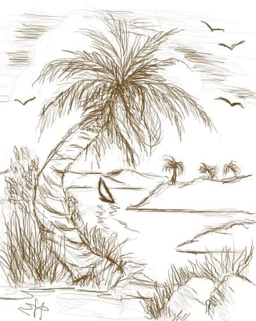 500x625 Palm Tree Drawing Tutorial