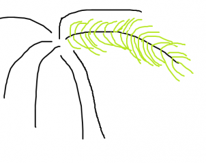 302x238 How To Draw How To Draw A Palm Tree Easy