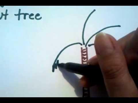 480x360 How To Draw A Palm Tree Easy Step By Step Videominecraft.ru