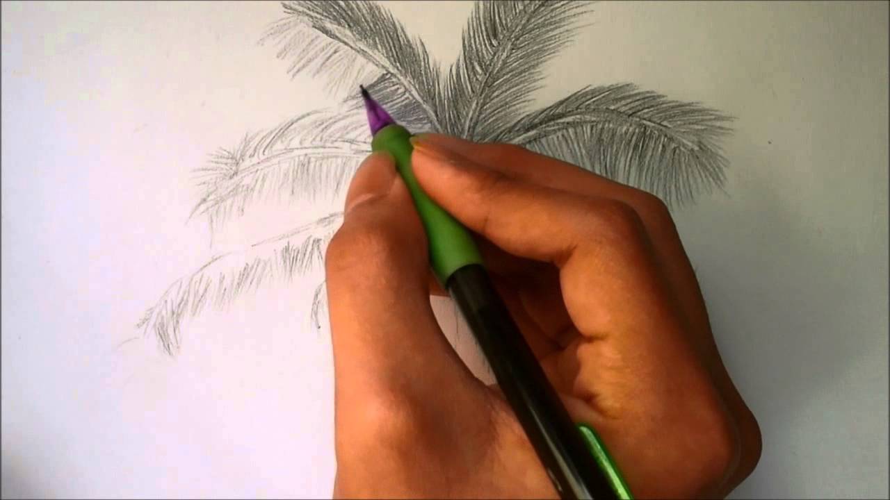 1280x720 How To Draw A Palm Tree