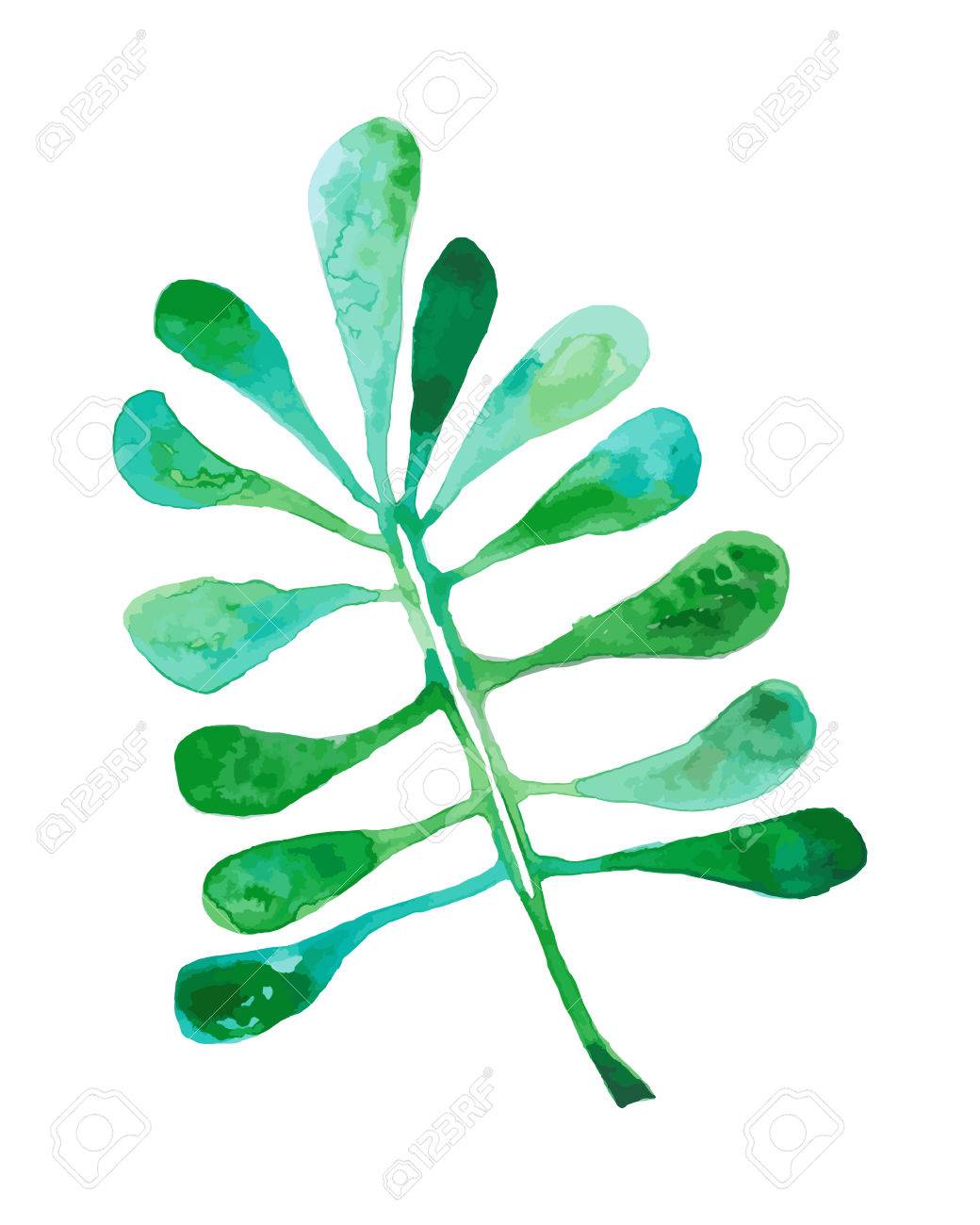 1040x1300 Watercolor Drawing, Palm Trees Or Green Leaves Royalty Free