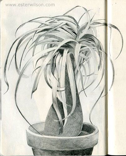 404x500 7 Best Art Images On Drawings In Pencil, Graffiti