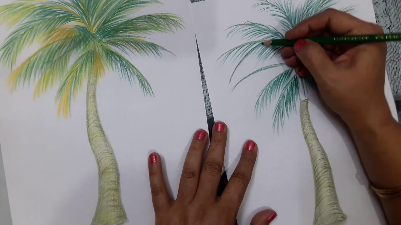 1280x720 How To Draw A Coconut Tree