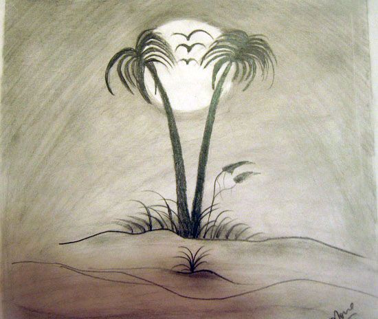 550x464 Sketches Of Palm Trees Palmtree Drawing And Art