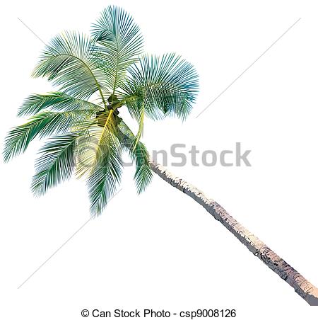 450x452 Drawn Palm Tree Color