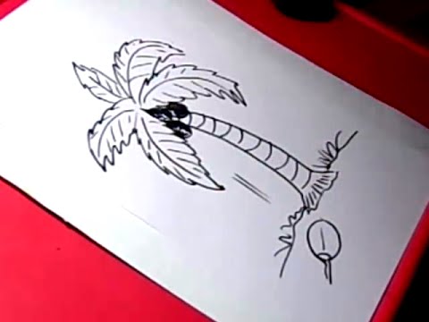 480x360 How To Coconut Tree Drawing For Kids Step By Step