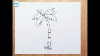 320x180 How To Draw Palm Tree For Kids