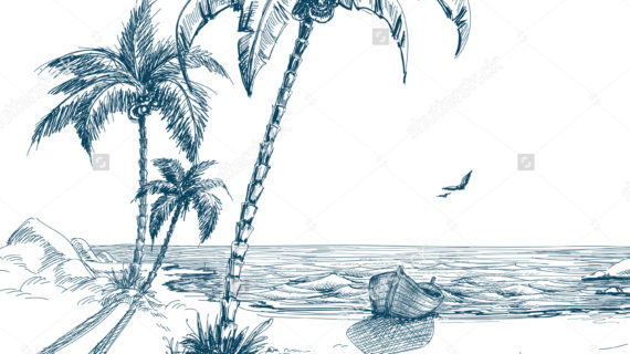 570x320 Palm Tree Beach Drawing Summer Beach Palm Trees Seagulls Boat