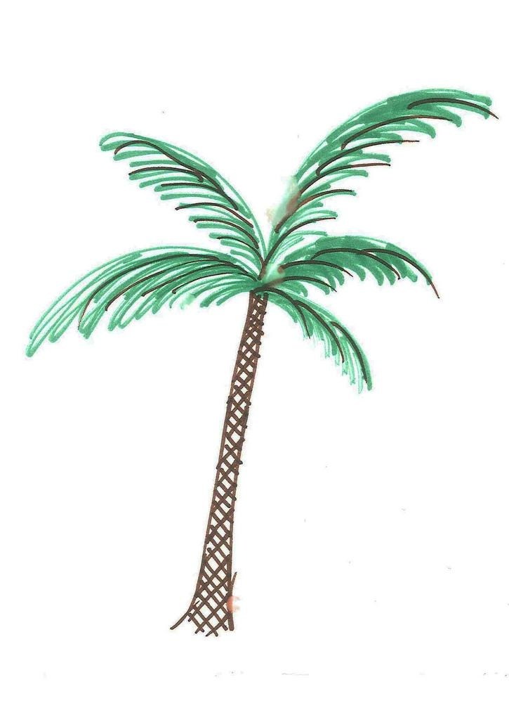 725x1024 Palm Trees Drawing Tumblr