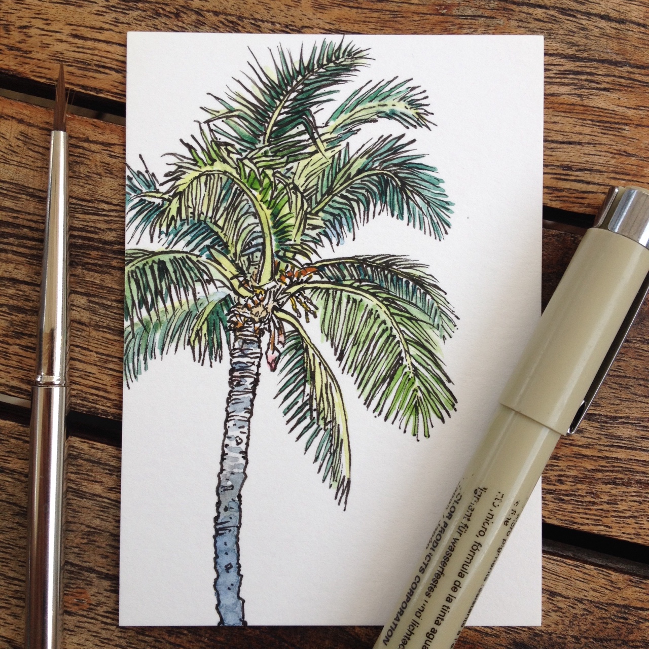 Palmetto Tree Drawing at GetDrawings | Free download