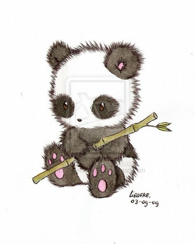 640x800 Cute Panda Drawing