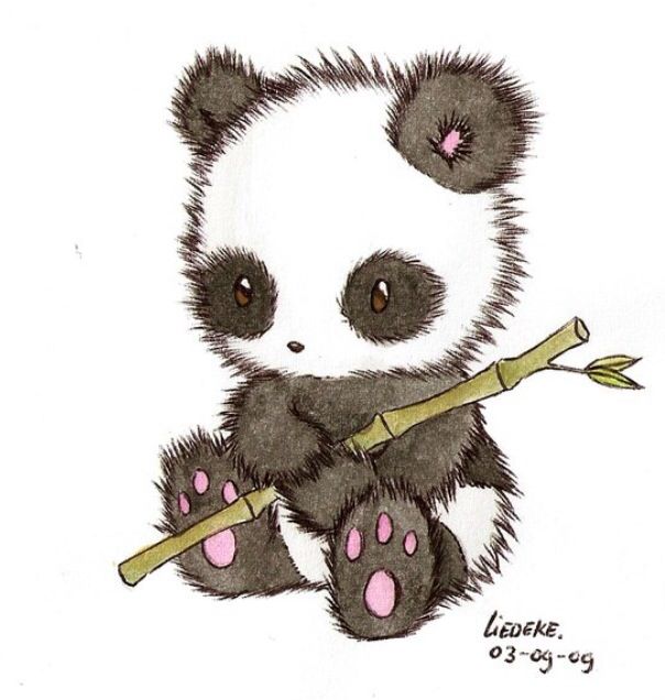 604x636 Such A Cute And Fuzzy Drawing Of A Panda Bear So Kawaii Art