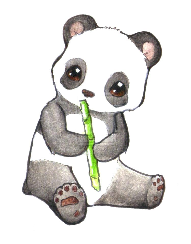 750x957 Easy Panda Drawings Medium Size Of To Draw A Baby Panda Bear