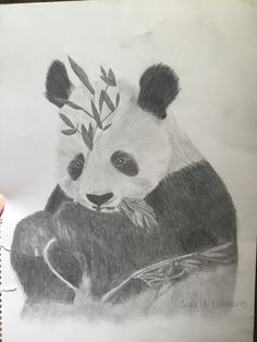 236x314 Baby Panda Charcoal Drawing By Explodingwithcolor