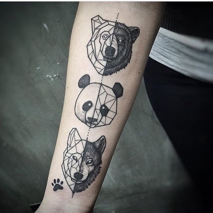 736x736 Collection Of Scratching Panda Tattoo