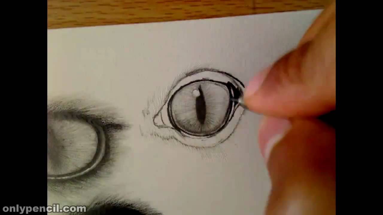 1280x720 Eye Study Pencil Drawing