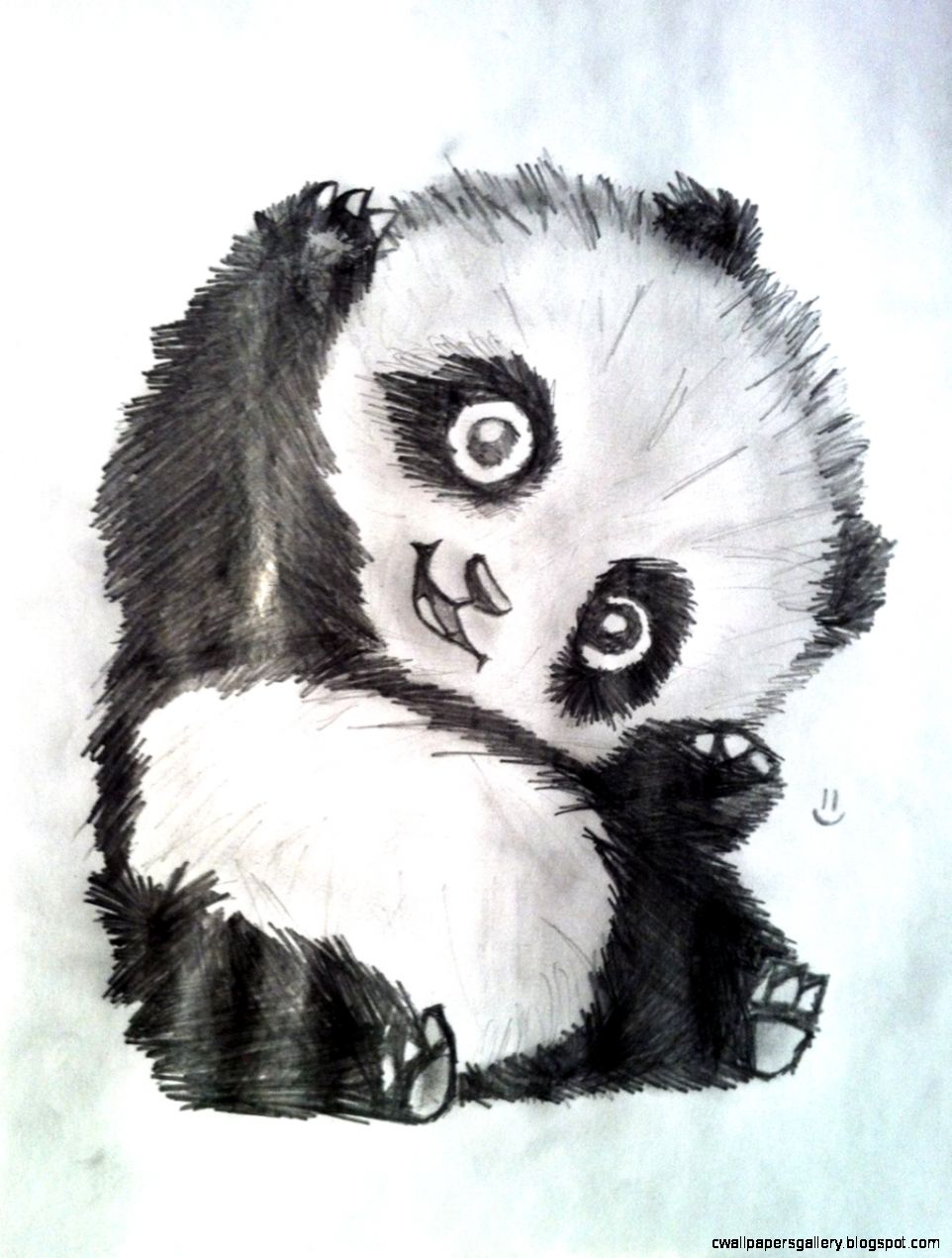 Panda Drawing Pictures at GetDrawings | Free download
