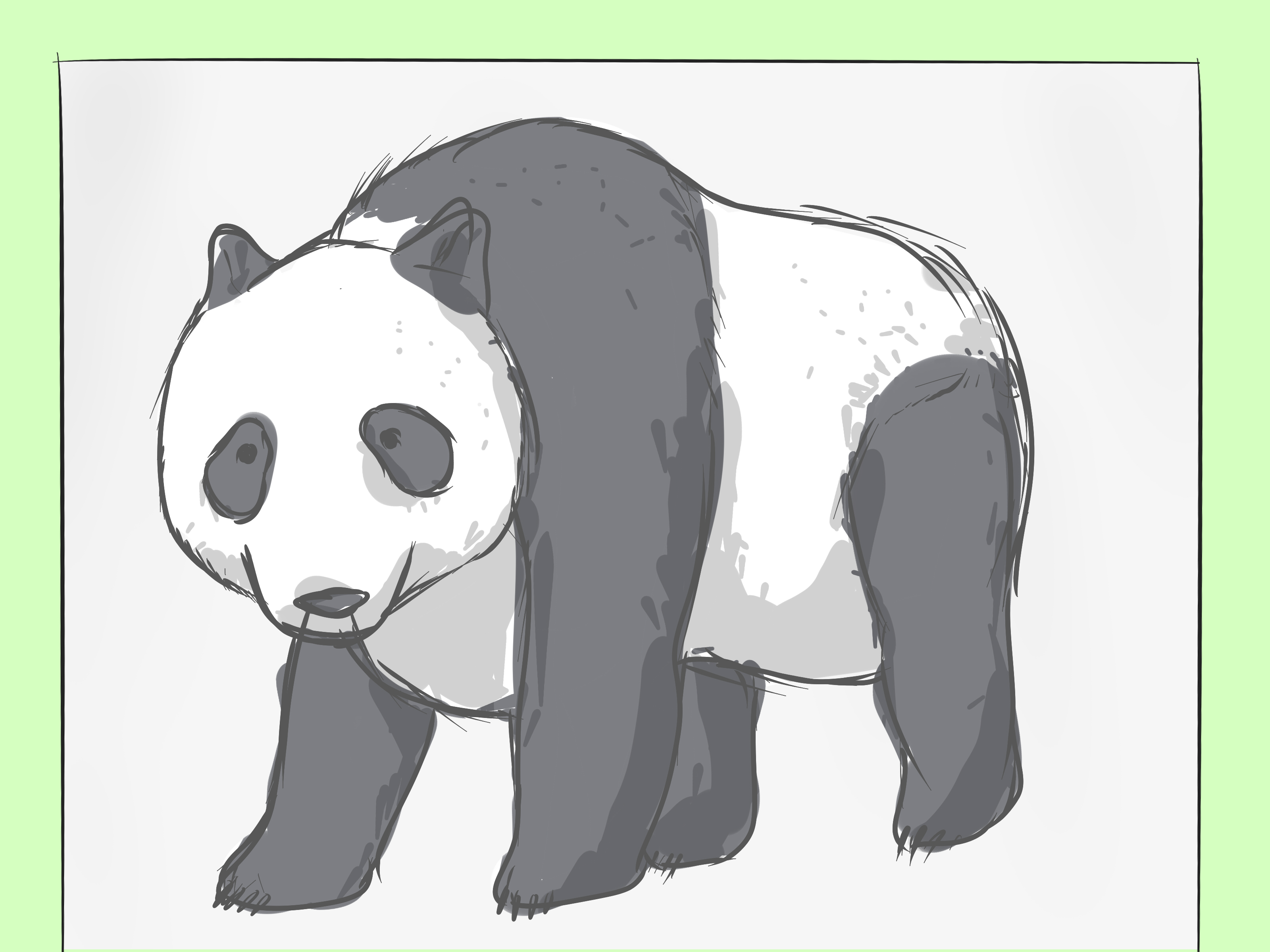 Panda Drawing Step By Step at GetDrawings | Free download