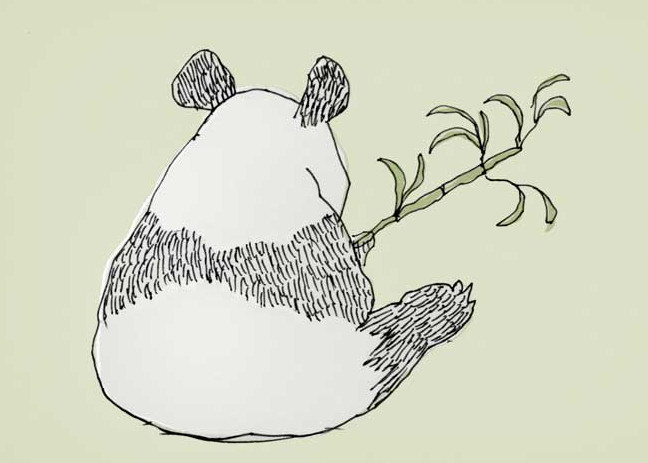 648x463 Pandastic Panda Facts