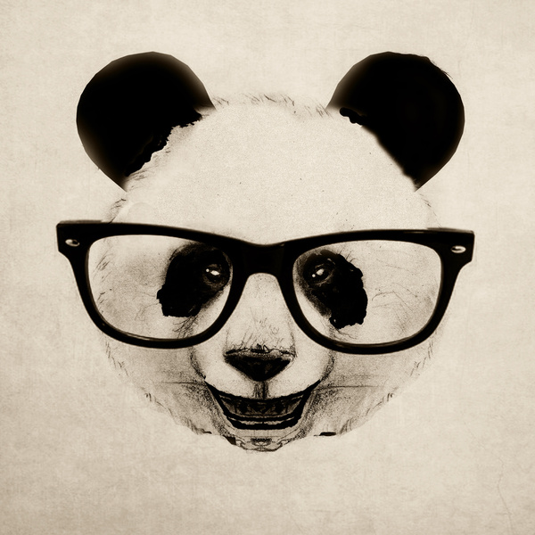 600x600 Panda Head Too By Isaiah K. Stephens Drawings Illustration