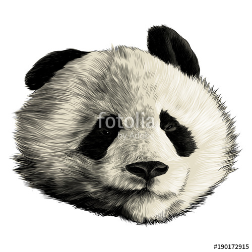 500x500 Head Panda Different Emotions With Glasses Lovers Sketch Vector