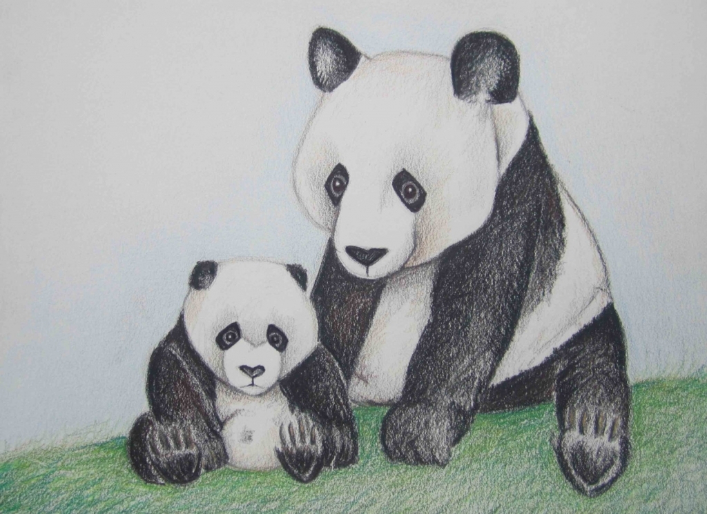 1024x745 Pencil Drawings Of Pandas Pencil Art Work Panda Love1 Original