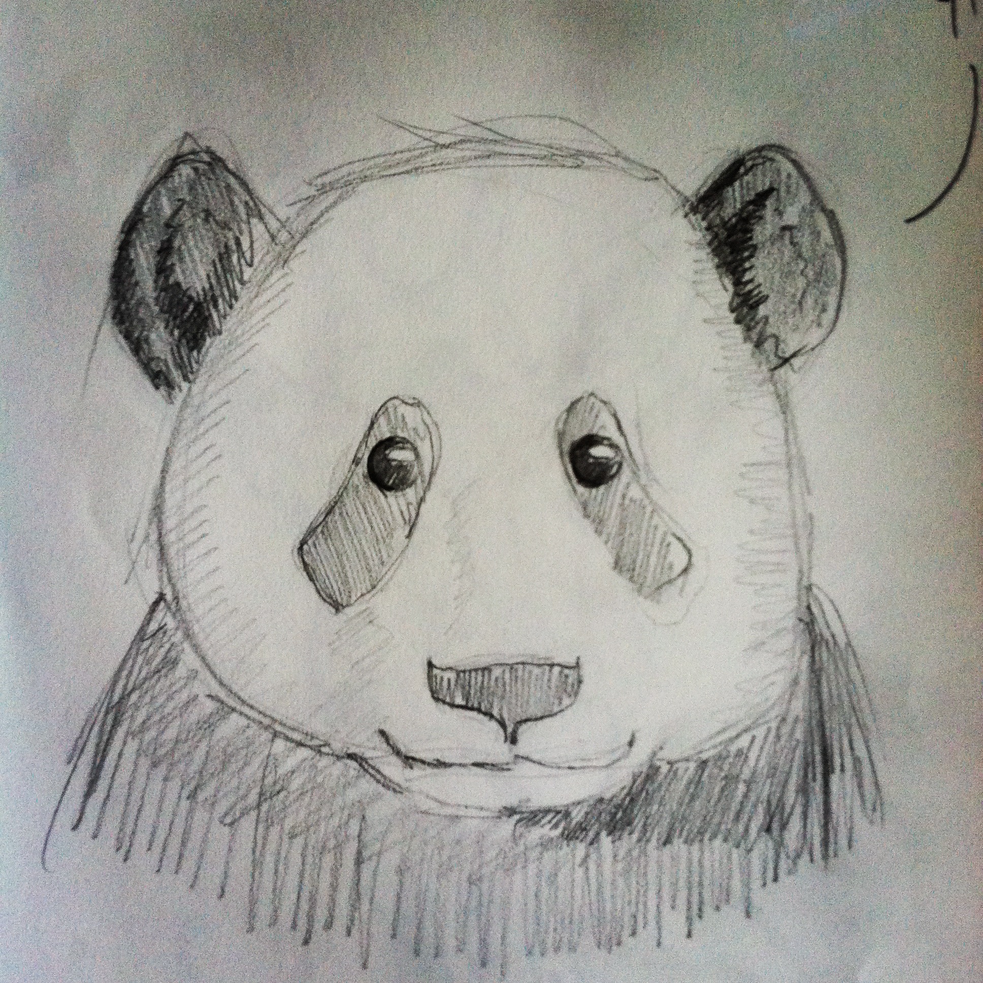 1936x1936 Pencil Sketch Drawing Of Panda A Sketch A Day