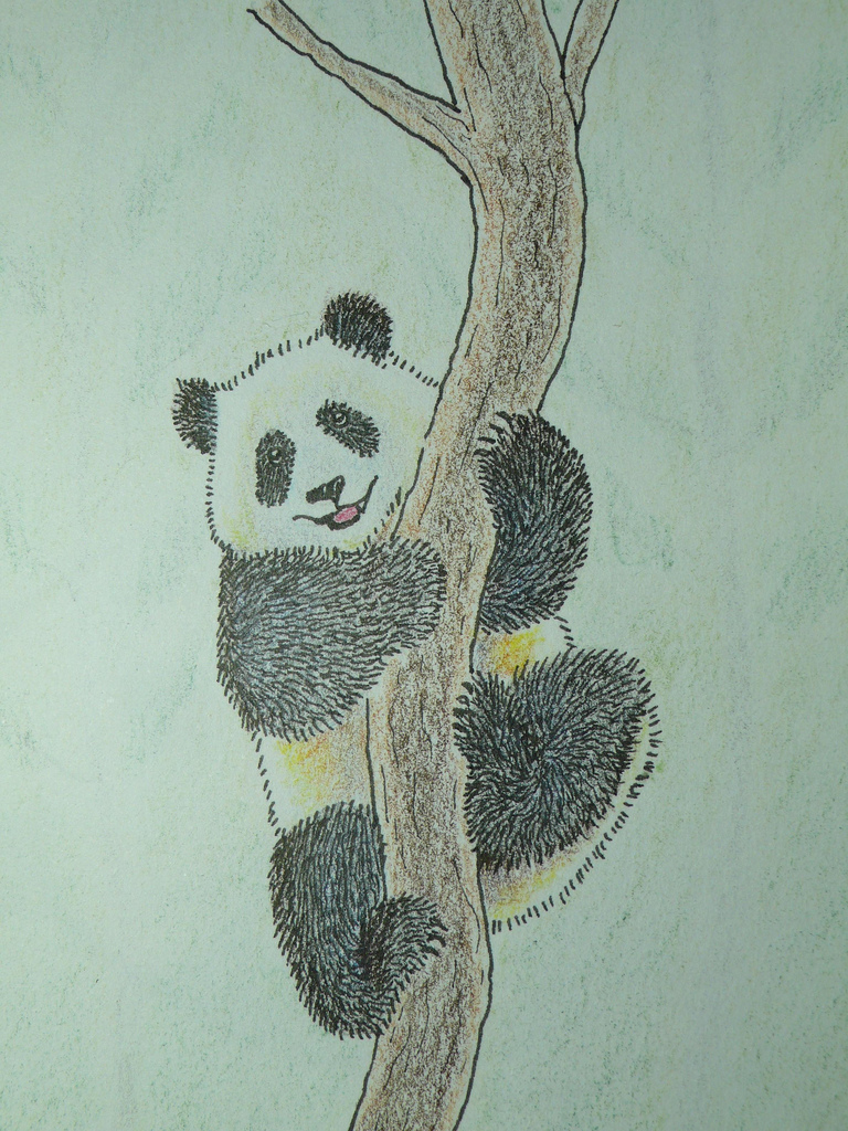 768x1024 Smiling Panda Color Pencil Drawing This Draw Is For All