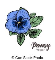 180x195 Hand Drawn Pansy Flowers. Vintage Style Vector Illustration. Eps