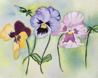 340x270 Items Similar To Pansies Watercolor Painting, Pansy Painting