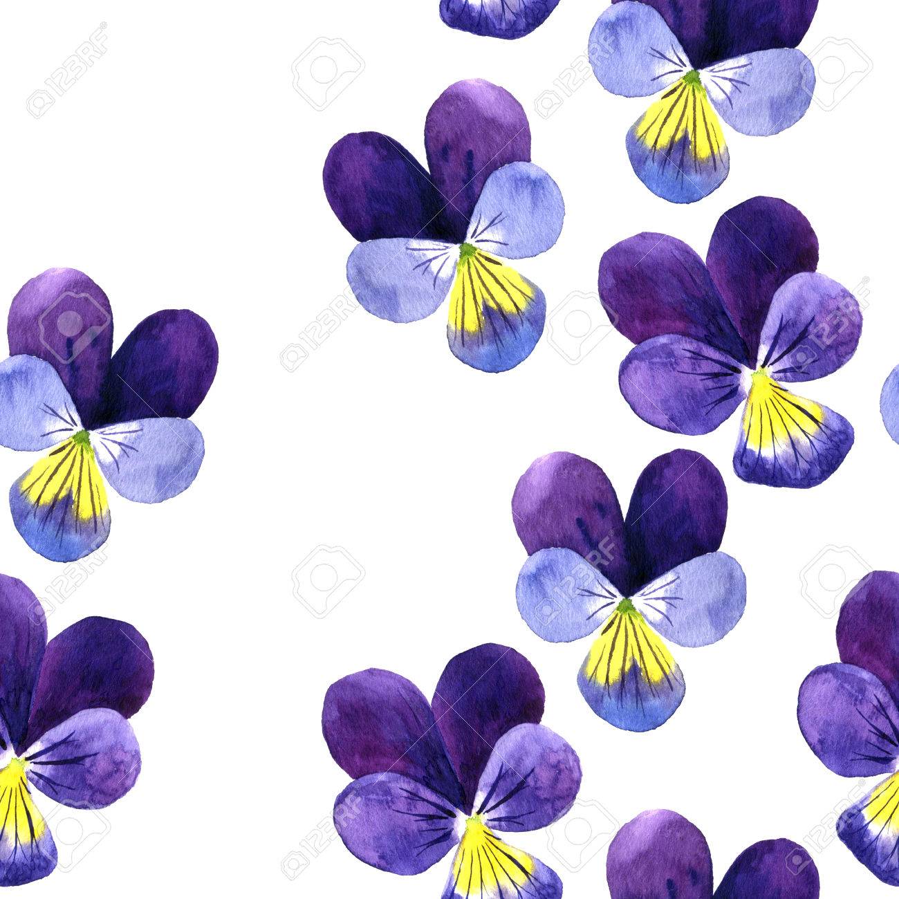 1300x1300 Seamless Pattern With Watercolor Drawing Violet Flowers,floral