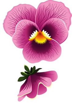 236x342 Step Finished Pansies 02 How To Draw Pansies With Step By Step