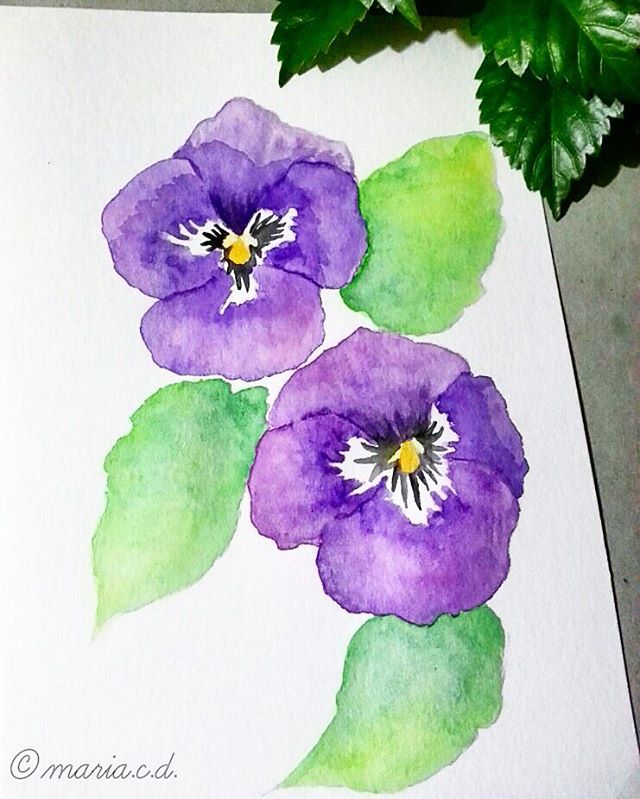640x799 Drawing Flower From A To Z P For Pansy