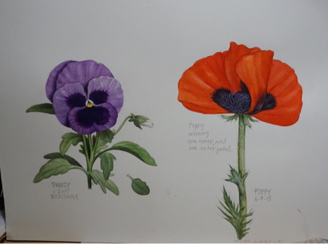 640x476 My Drawing Journal Drawing And Painting Flowers