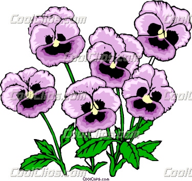 375x354 Pansy Drawing Clip Art