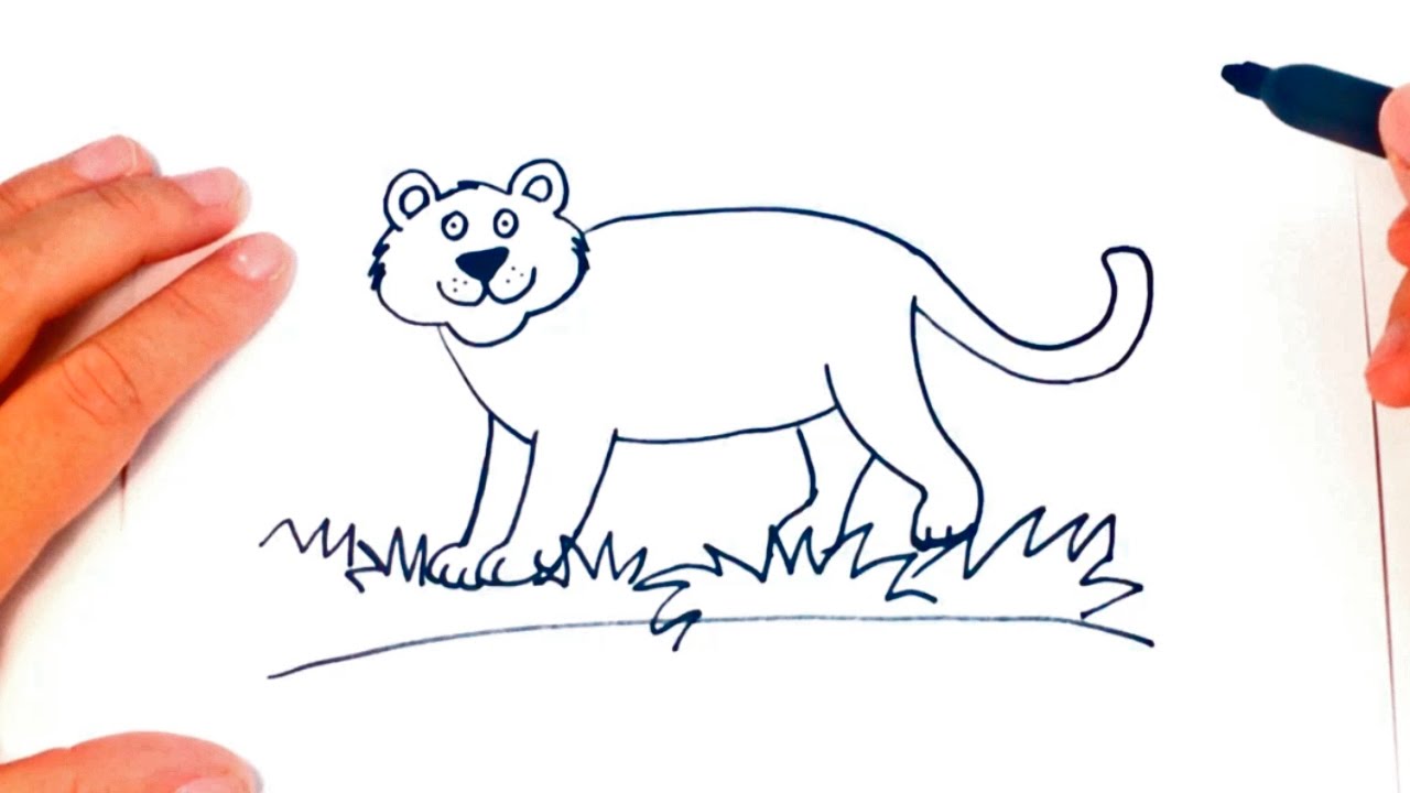 1280x720 How To Draw A Panther For Kids Panther Drawing Lesson Step By