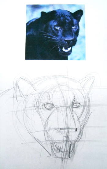 Panther Face Drawing at GetDrawings | Free download