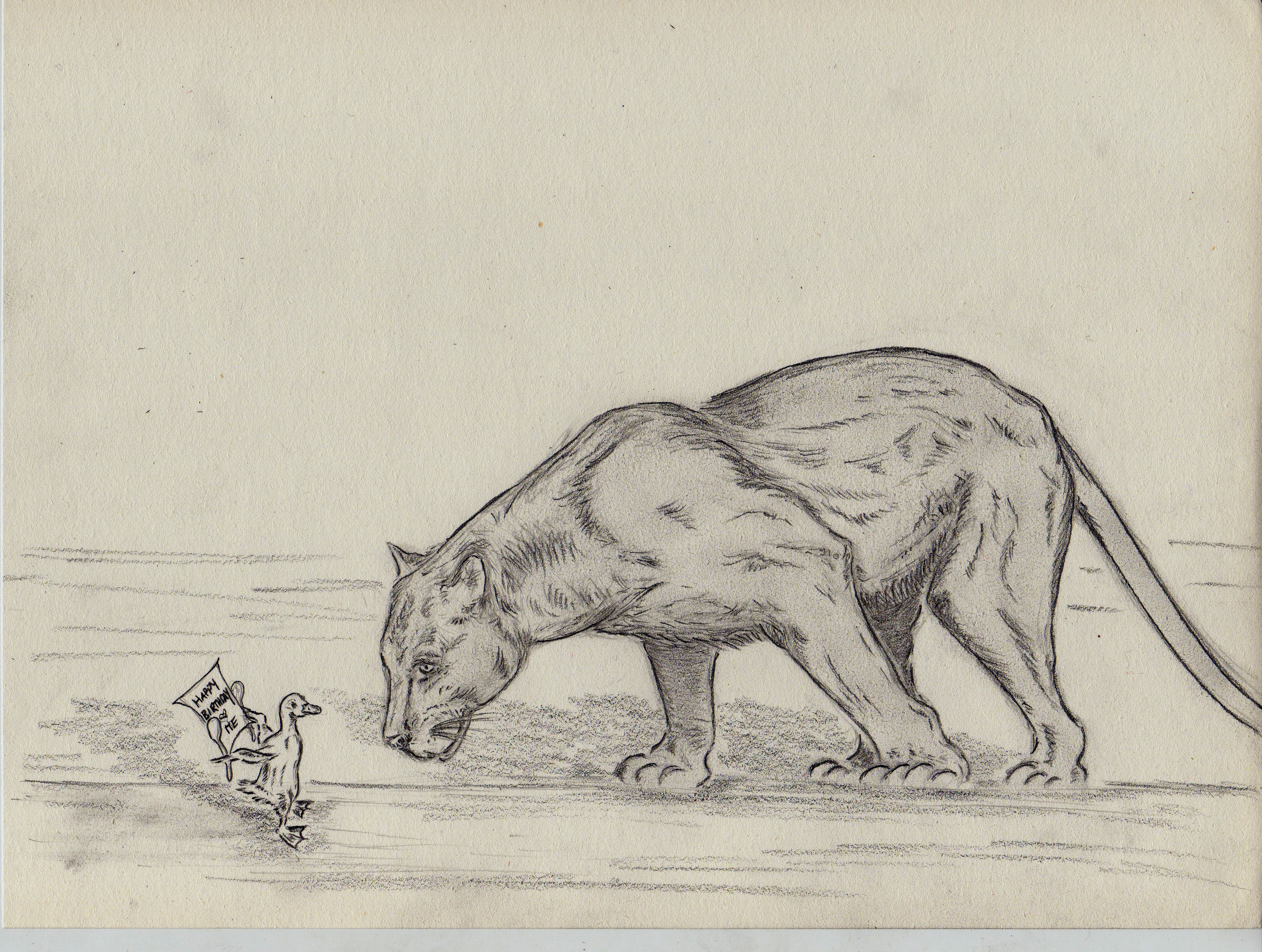 3344x2524 Drawings Dibujos 2008 2009 Alicatzola