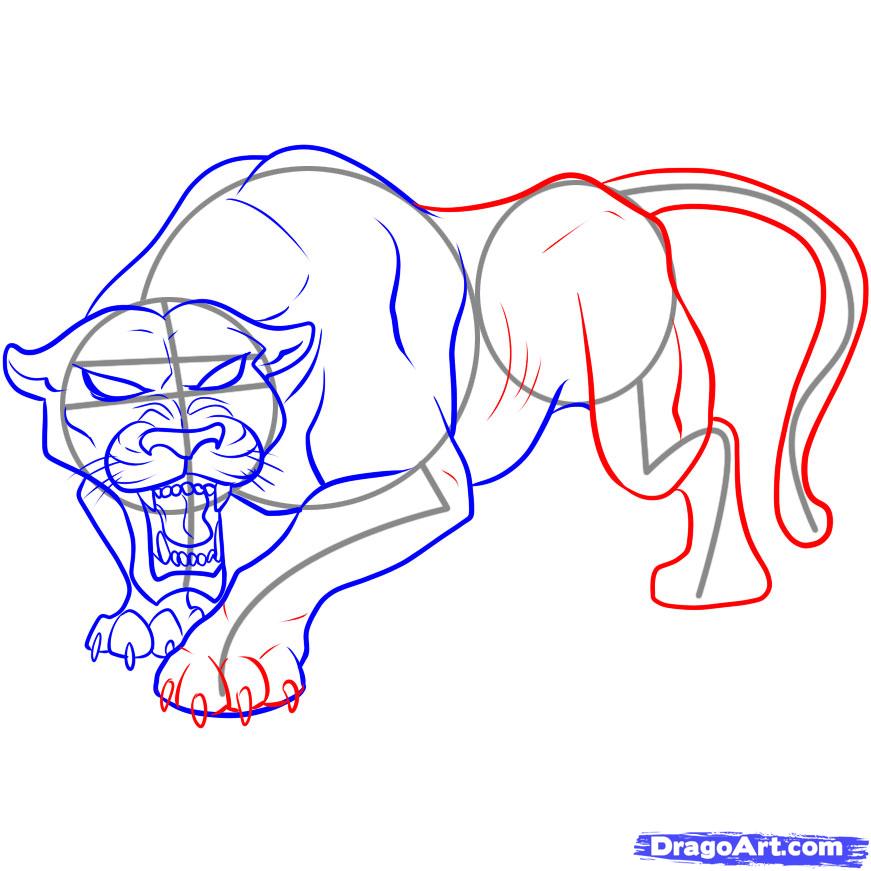 871x871 How To Draw A Black Panther Step 5 Wild Cats Black